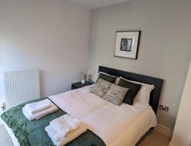 Flat in Canary wharf near Thames river