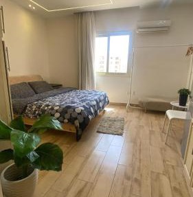 Dream Land - one bedroom studio