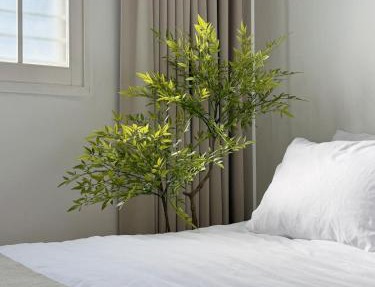 HOSTAY Cheongdam 2BR Gangnam 5 OliveYoung