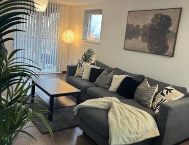 Charming apartment near NEC and Birmingham Airport
