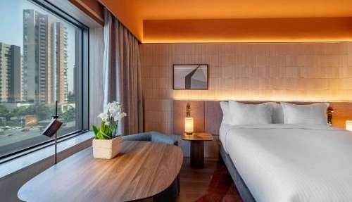 Pullman Sao Paulo Ibirapuera
