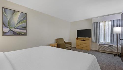 Best Western Plus South Coast Inn