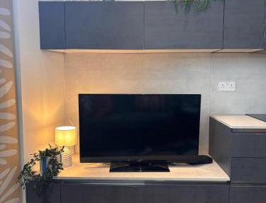 Deluxe Central London North Apartment