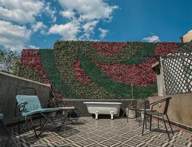 Condesa Haus Rentals