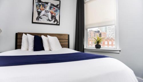 Charming Studio on Boston's Iconic Newbury St. #8