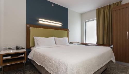 SpringHill Suites by Marriott Charlotte Ballantyne
