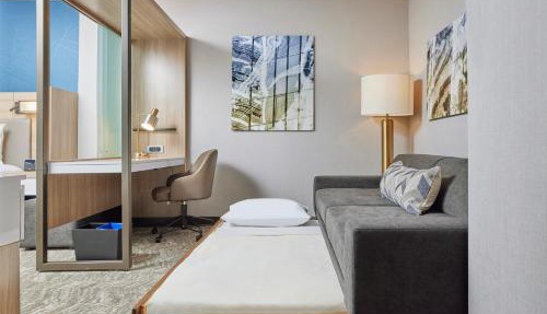 SpringHill Suites by Marriott Chicago Chinatown