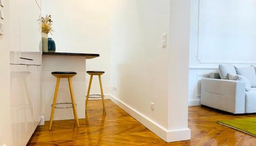 Spacious 2 bedroom apartment Champs Elysees and Golden Triangle