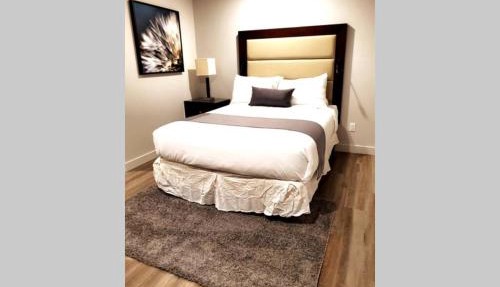 Cozy Sweet Studio #5, Only 10 min to D.T. Ottawa