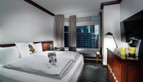 Staypineapple, An Iconic Hotel, The Loop